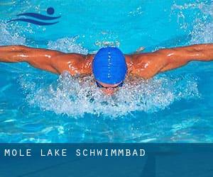 Mole Lake Schwimmbad