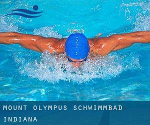 Mount Olympus Schwimmbad (Indiana)