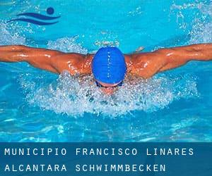 Municipio Francisco Linares Alcántara schwimmbecken