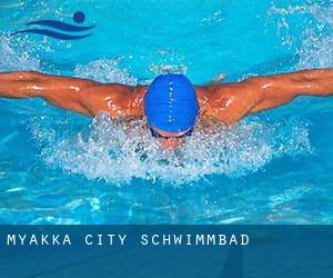 Myakka City Schwimmbad