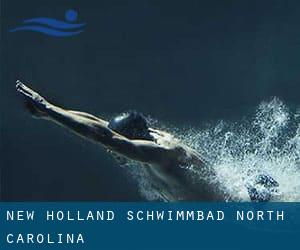 New Holland Schwimmbad (North Carolina)