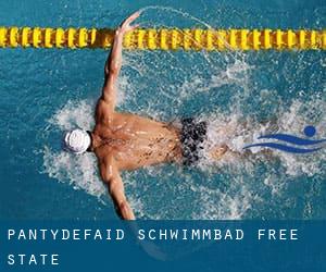 Pantydefaid Schwimmbad (Free State)