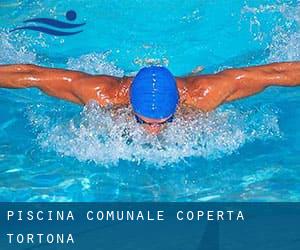 Piscina Comunale Coperta - Tortona