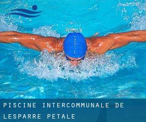 Piscine intercommunale de Lesparre «Pétale»