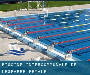 Piscine intercommunale de Lesparre «Pétale»