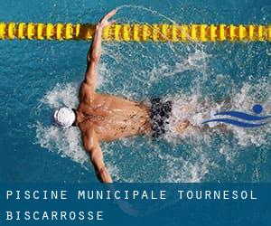 Piscine Municipale Tournesol - Biscarrosse