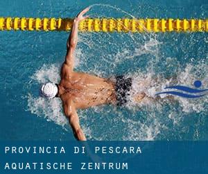 Provincia di Pescara Aquatische Zentrum