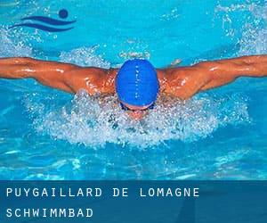 Puygaillard-de-Lomagne Schwimmbad