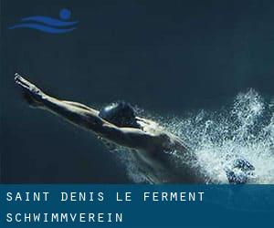 Saint-Denis-le-Ferment Schwimmverein