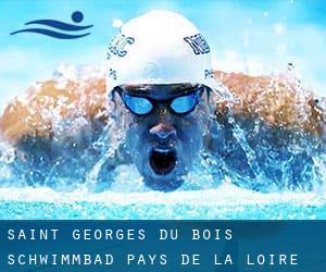 Saint-Georges-du-Bois Schwimmbad (Pays de la Loire)