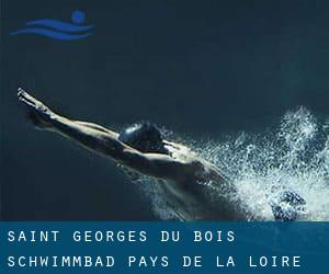 Saint-Georges-du-Bois Schwimmbad (Pays de la Loire)