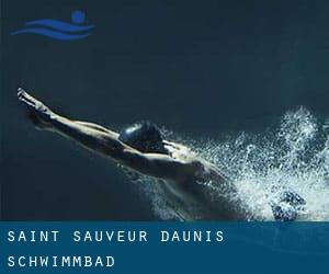 Saint-Sauveur-d'Aunis Schwimmbad