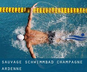 Sauvage Schwimmbad (Champagne-Ardenne)