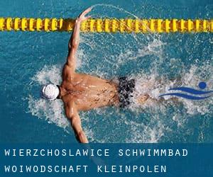 Wierzchosławice Schwimmbad (Woiwodschaft Kleinpolen)